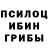 Псилоцибиновые грибы MAGIC MUSHROOMS Liz Brauer