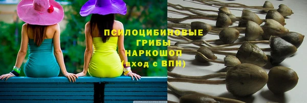 крисы Киреевск
