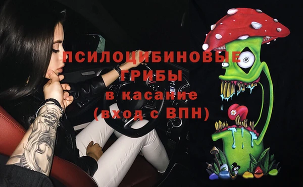 крисы Киренск