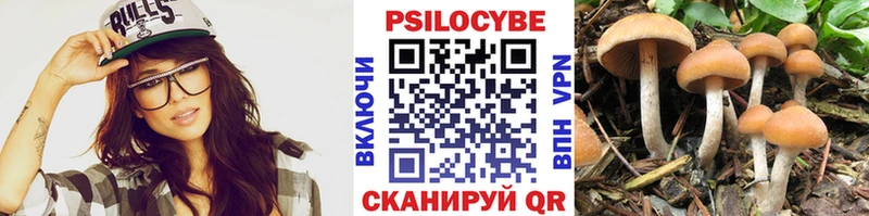 Купить  Советская Гавань  Псилоцибиновые грибы мицелий 